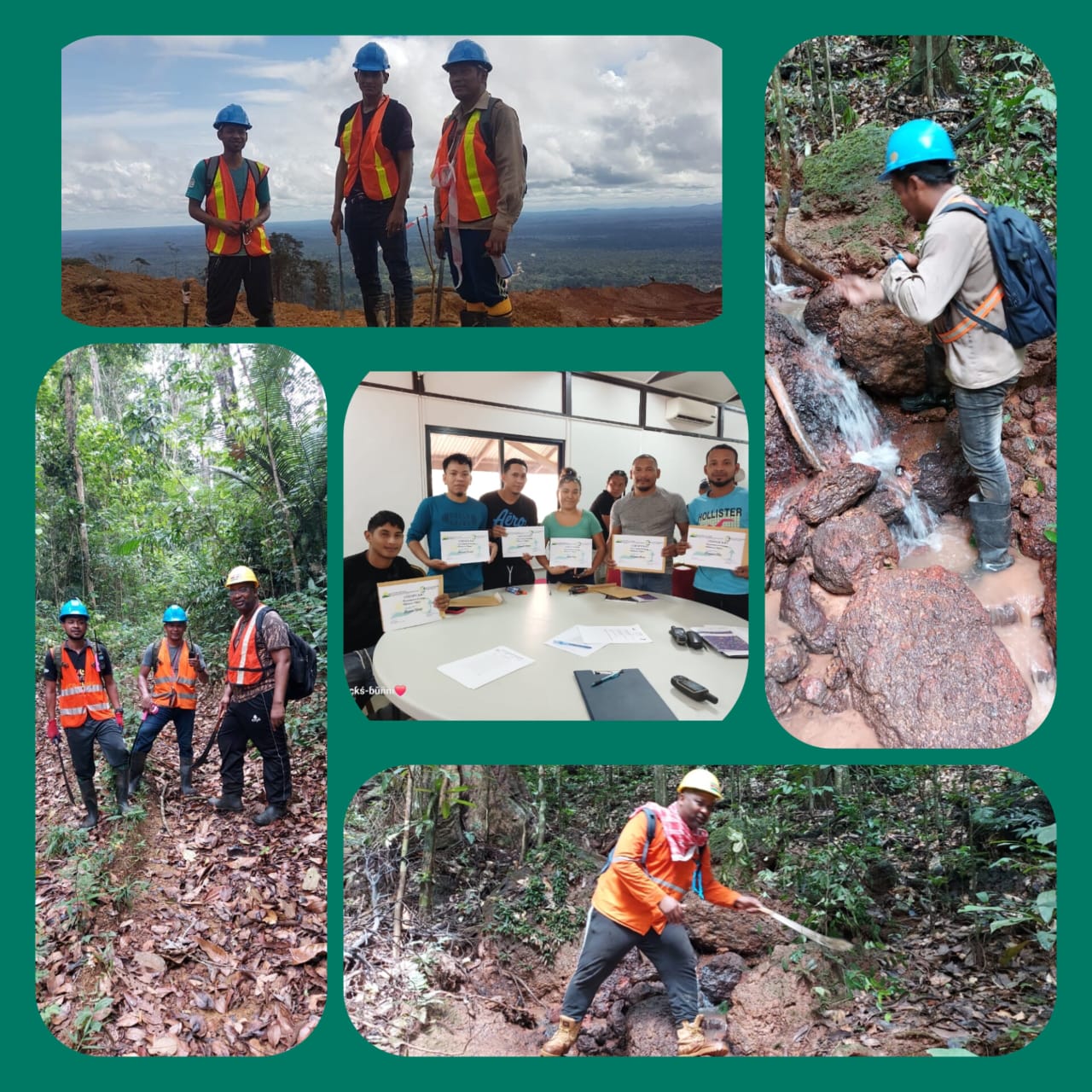 Forest management professionals at work